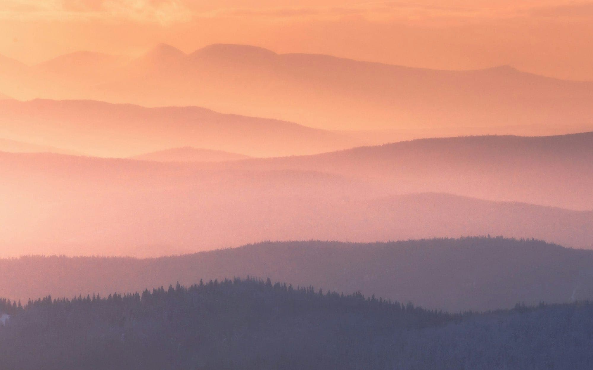 Voice AI in Healthcare: Why Trust & Governance Must Be First-Class Citizens